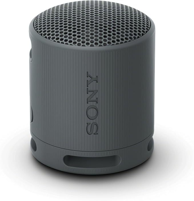 Sony SRS-XB100 Wireless Bluetooth Portable Lightweight Speaker, Black
